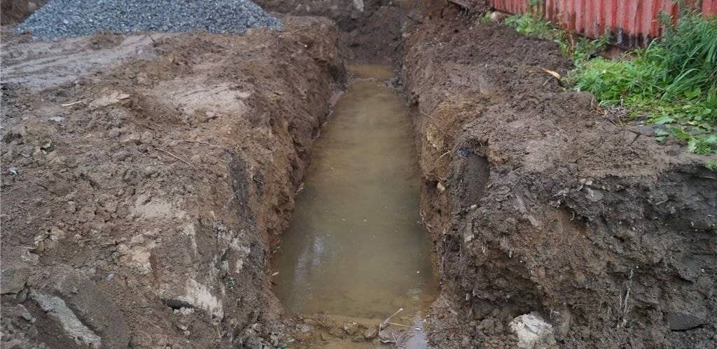 Почва с высокими грунтовыми водами